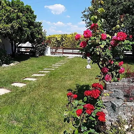 Bed & Breakfast Quinta Camargue