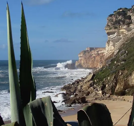 Quinta Camargue Bed & Breakfast 3*